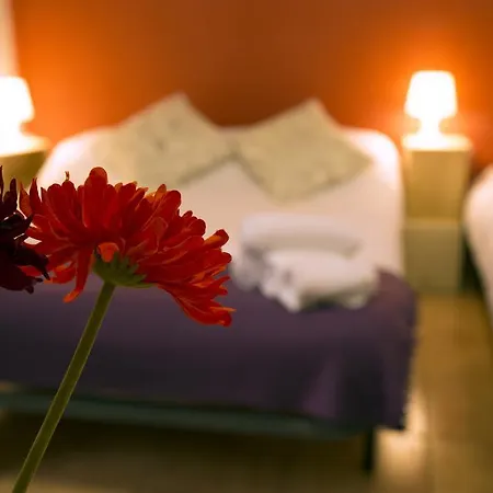 Coffee And Sugar Hostel Barcelona